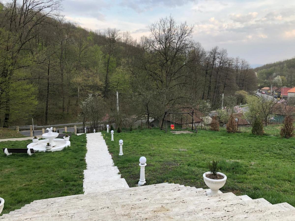 Pensiunea Medeea Hotel Pestis Bagian luar foto