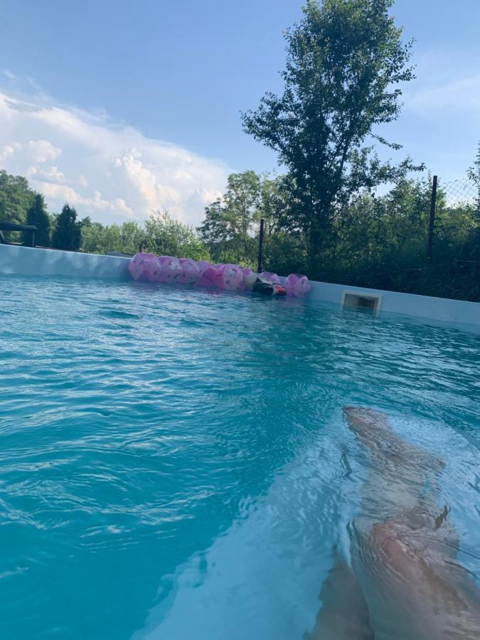 Pensiunea Medeea Hotel Pestis Bagian luar foto