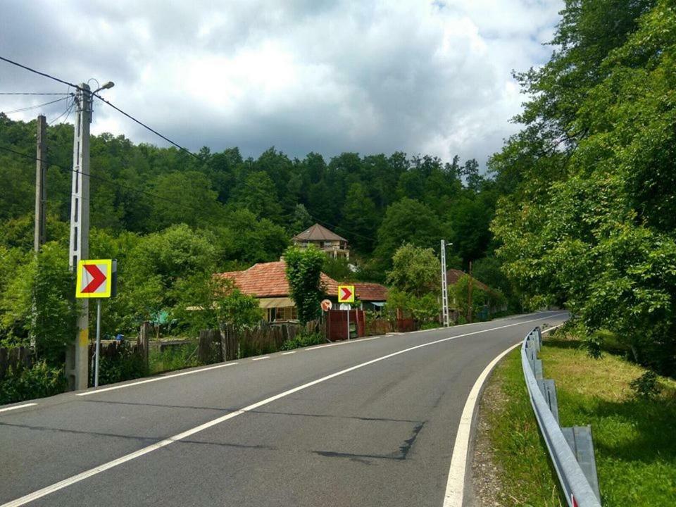 Pensiunea Medeea Hotel Pestis Bagian luar foto
