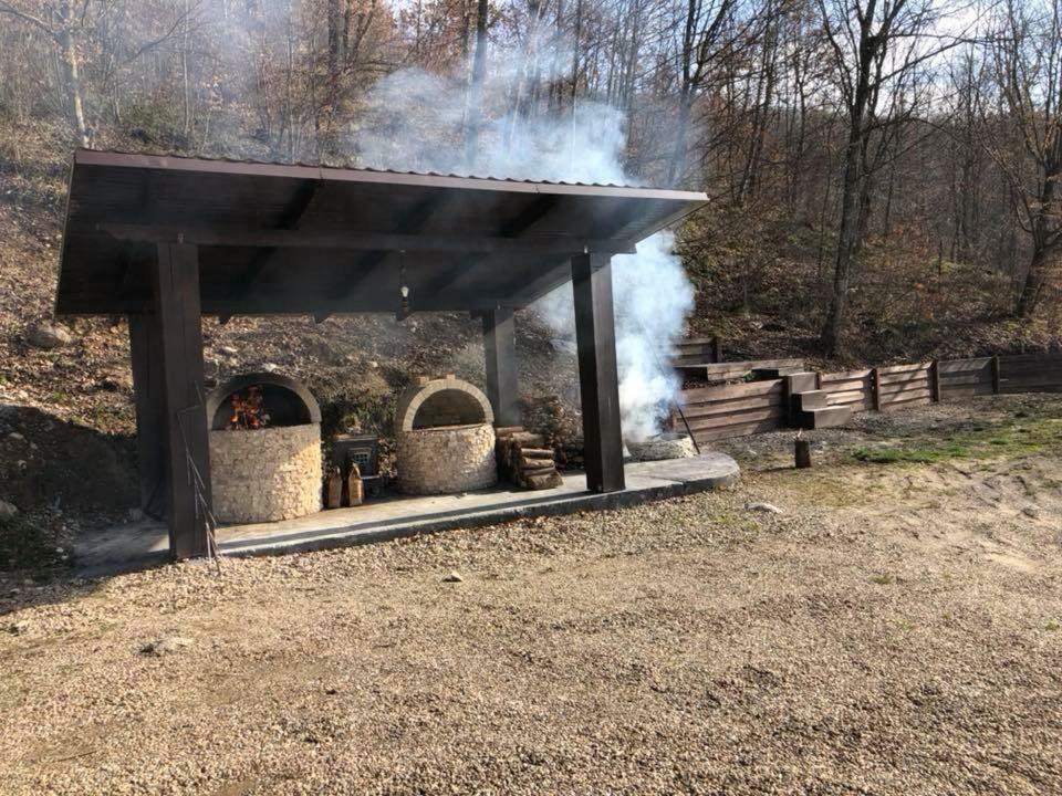 Pensiunea Medeea Hotel Pestis Bagian luar foto