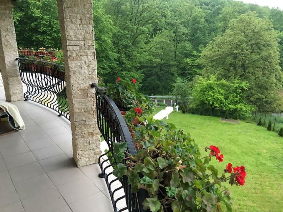 Pensiunea Medeea Hotel Pestis Bagian luar foto